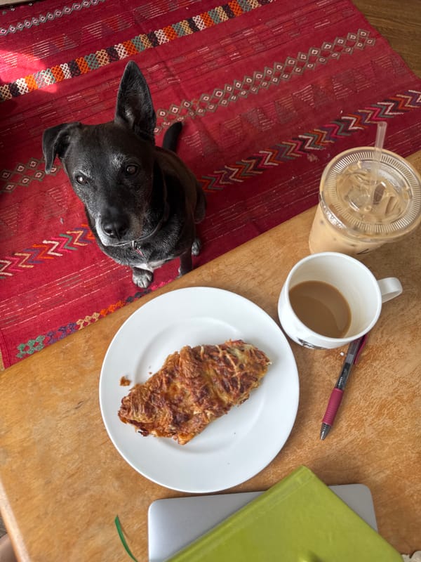 Indoor gathering with dog, food, leopard dress documented NYC