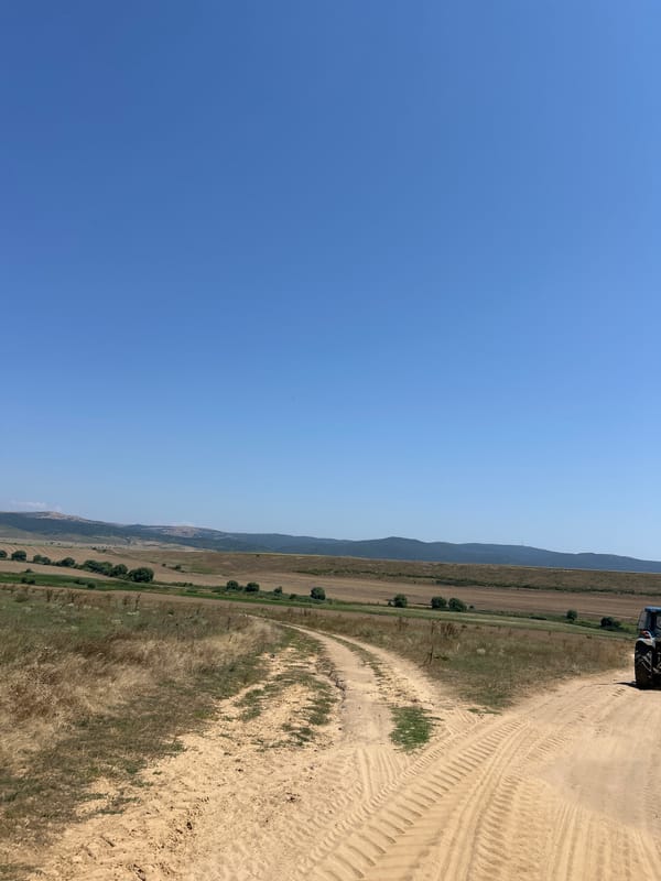 Dusty rural roads and dry grassland near Poroy, Bulgaria