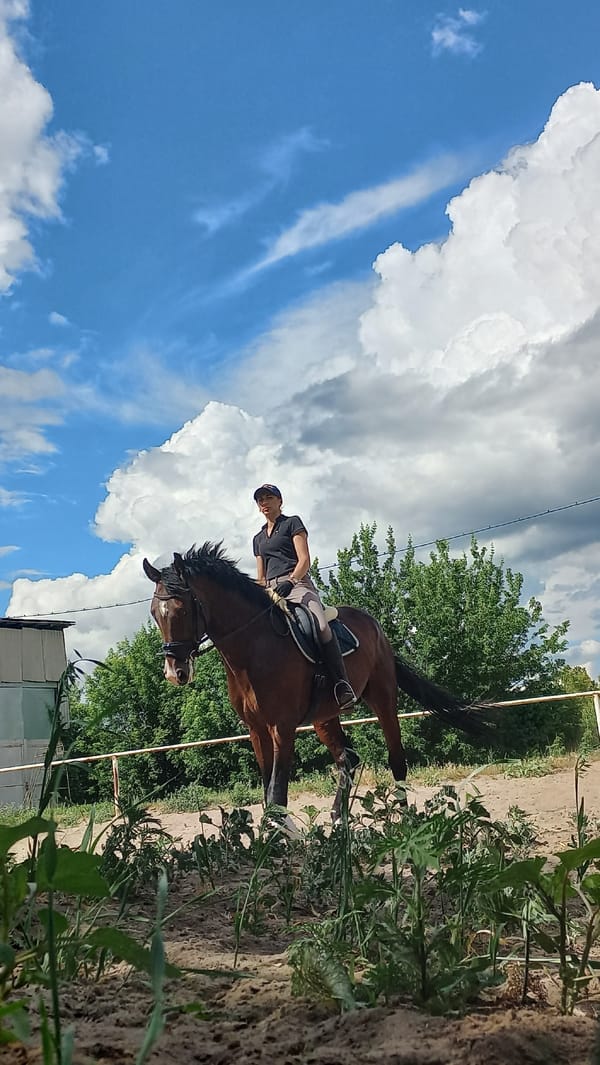 Horse training session in a Kharkiv outdoor sand arena