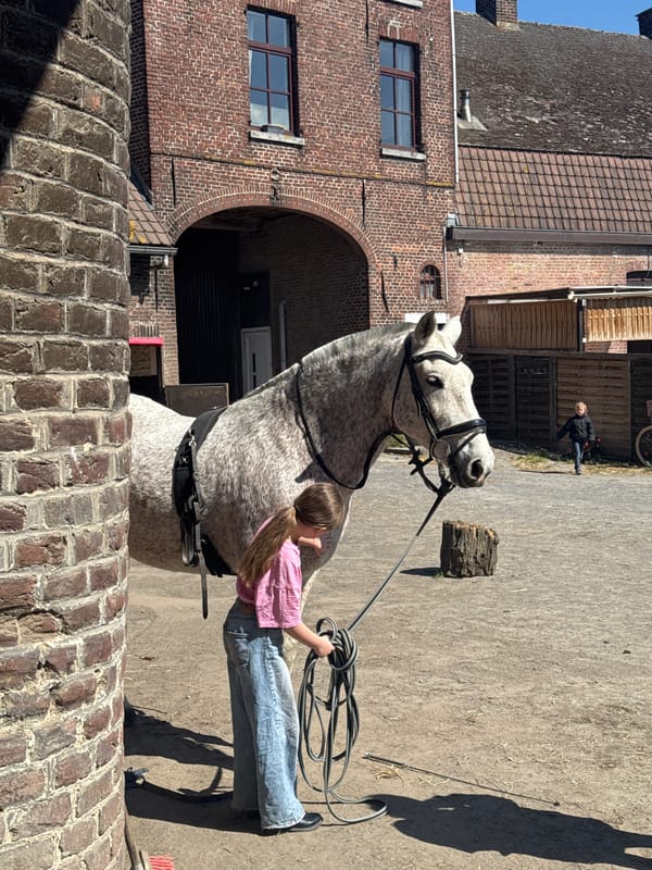 Girl with white horse at Belgian equestrian facility