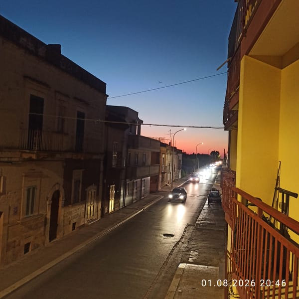 European street at dusk, plus a staked potted plant.