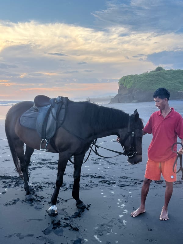 Man with horse spotted on wet beach in Kediri