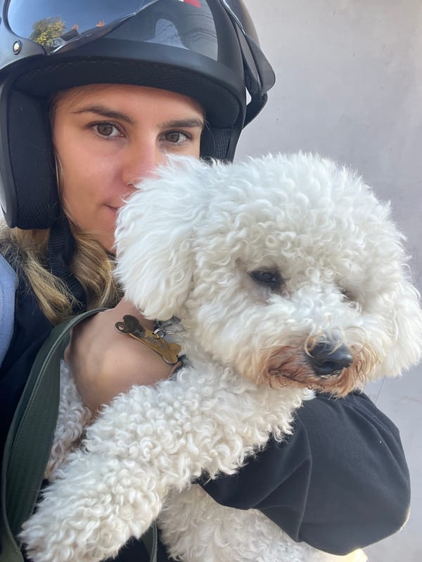 Helmet on, fluffy dog in arms — a quick stop in Kediri