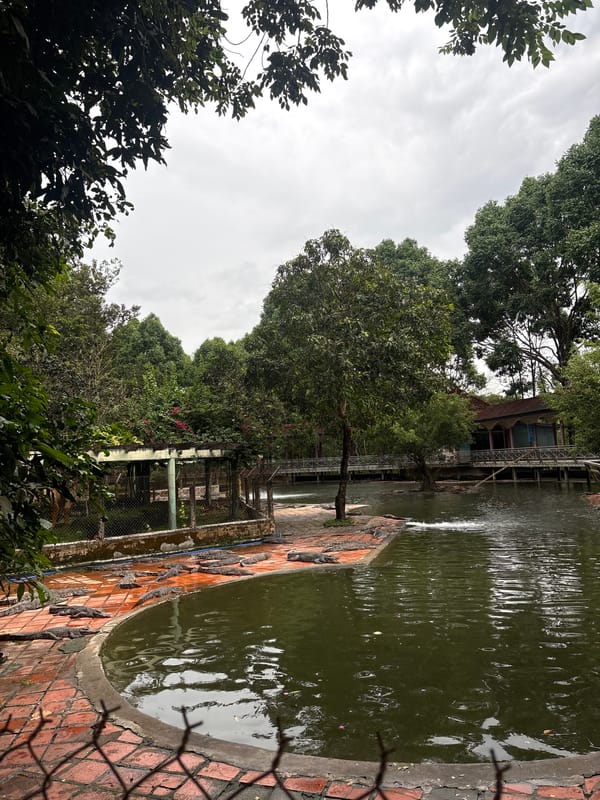 Tourist visits crocodile farm and shrine in Khanh Vinh