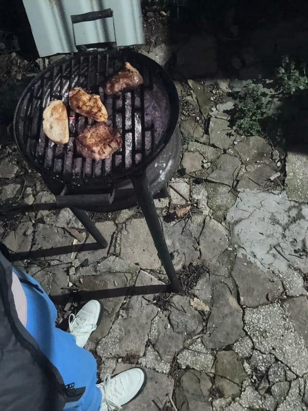 Evening backyard barbecue with pets in Bulgarian villages