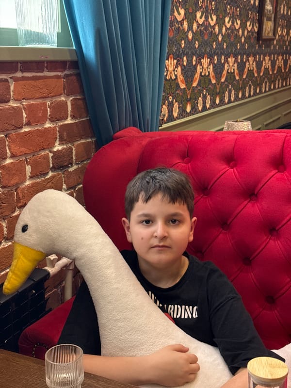 Child with plush goose toy spotted in Nizhnevartovsk