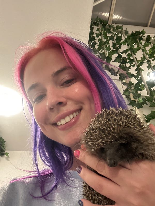 Woman takes nighttime selfies with hedgehog in Zagreb
