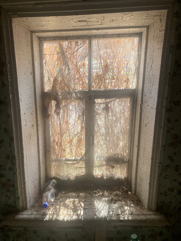 Abandoned house documented in rural Russian village