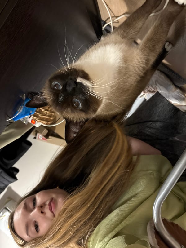 Woman takes bathroom selfies with Siamese cat in Izhevsk