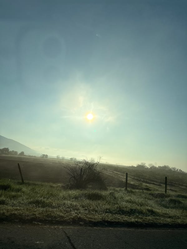 Rural landscape documented in Cherganovo, Bulgaria Sunday morning