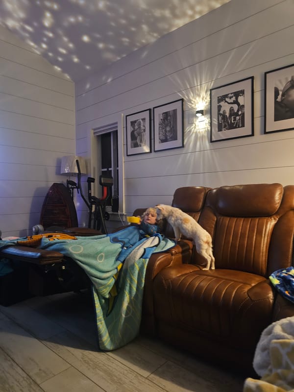 Late-night living room scene in Islamorada with a dog and toddler