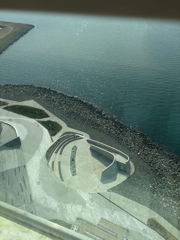 Seaside dining experience documented in Vladivostok restaurant overlooking harbor