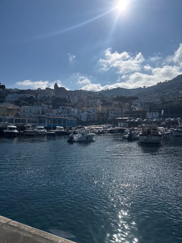 Morning sunlight illuminates Massa Lubrense port in Italy