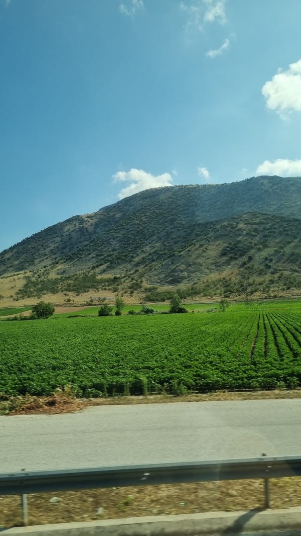 Open road through rural Zarkos, Greece