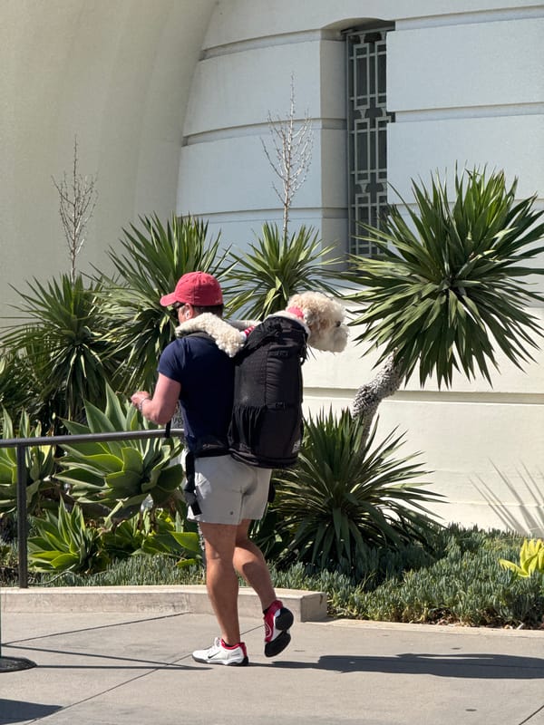 Man visits Griffith Observatory with dog in backpack carrier