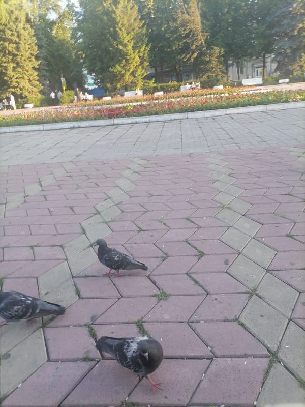 Ulyanovsk city center on a summer afternoon