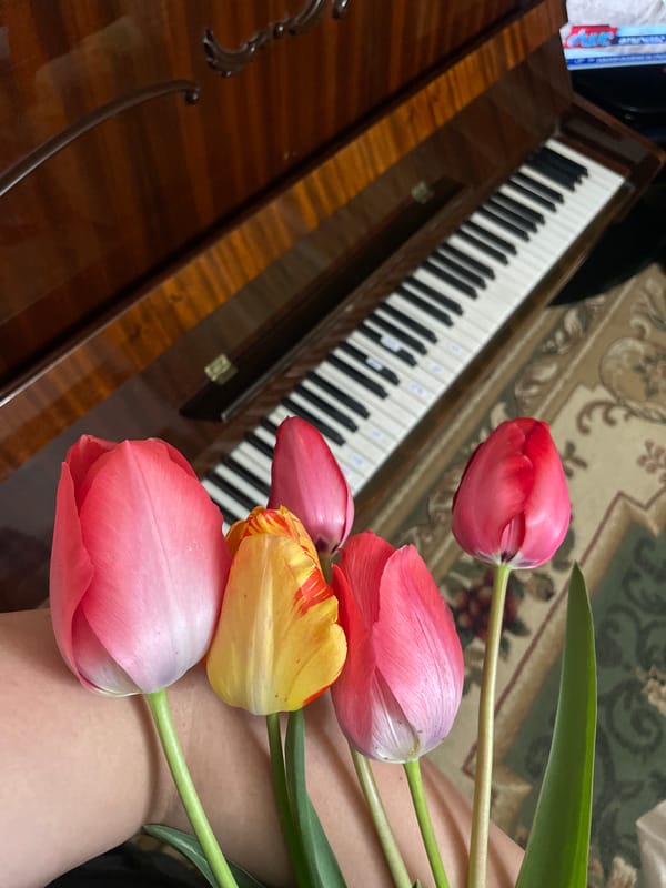 Domestic afternoon moments captured in Yerevan home