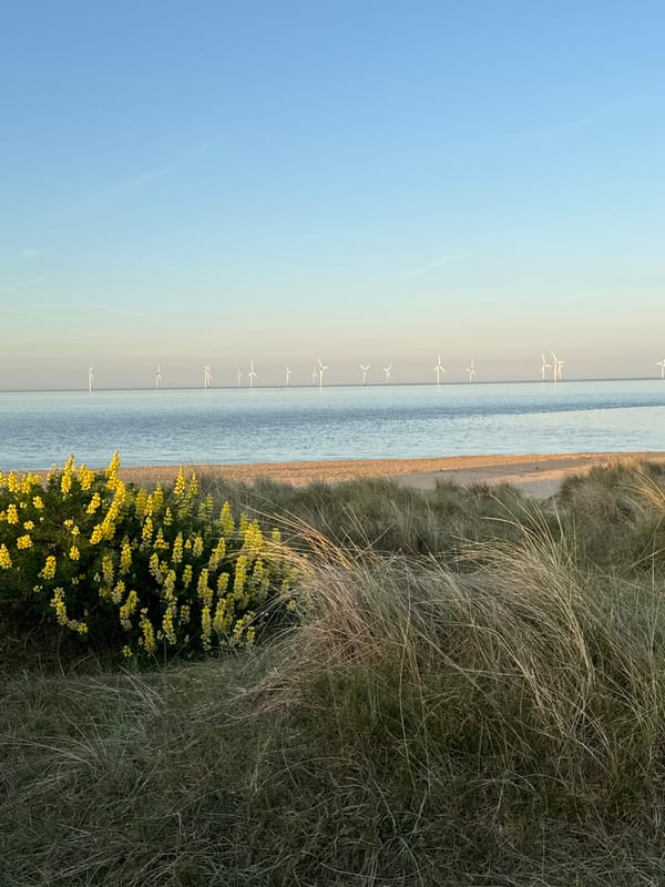 Sunset coastal walk captured at Great Yarmouth dunes