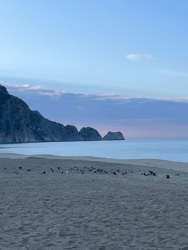 Dawn wildlife and beachgoers observed at Cleopatra Beach, Alanya