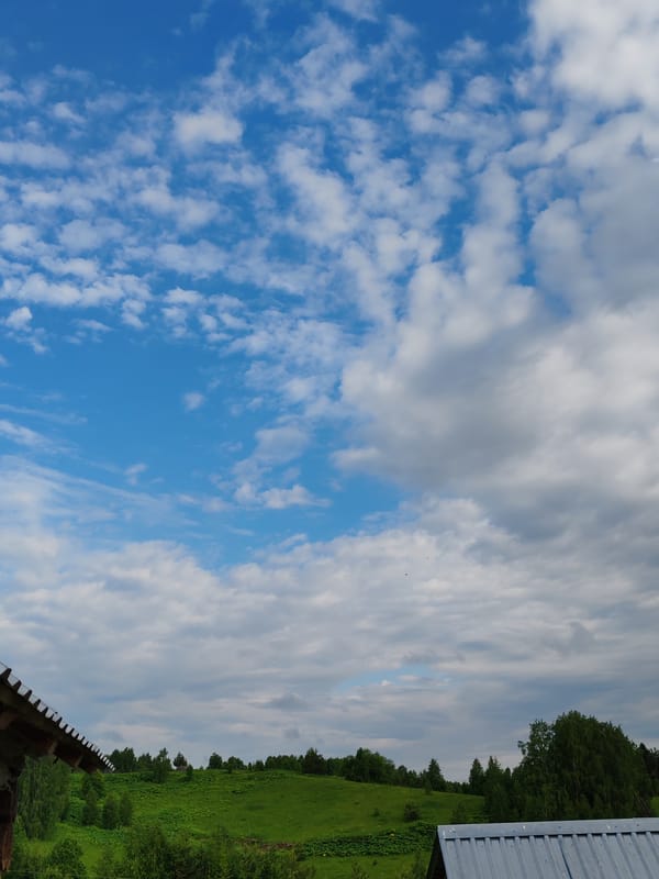 Rural Russian morning captured through personal moments and nature