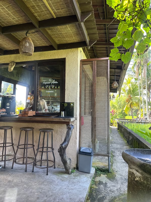 Coffee and rice terrace views in Ubud