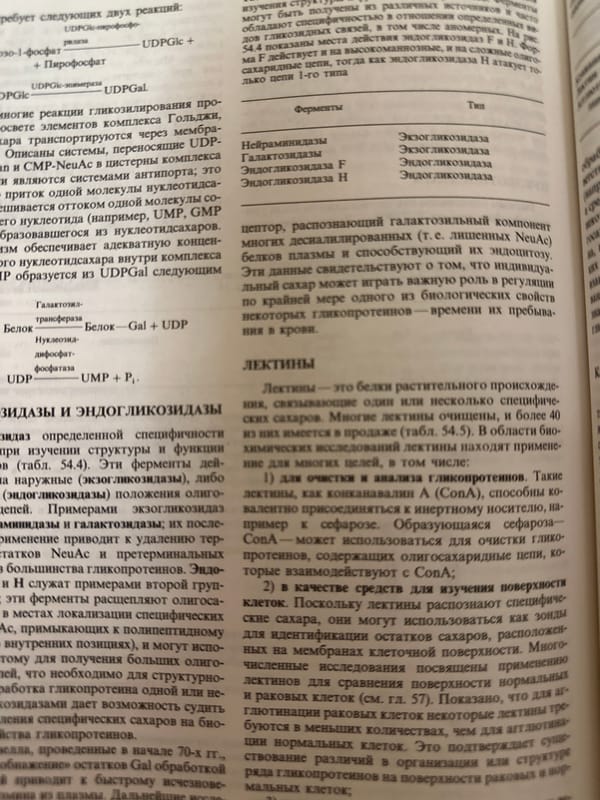 Student studies biochemistry textbooks during evening session in Kazan