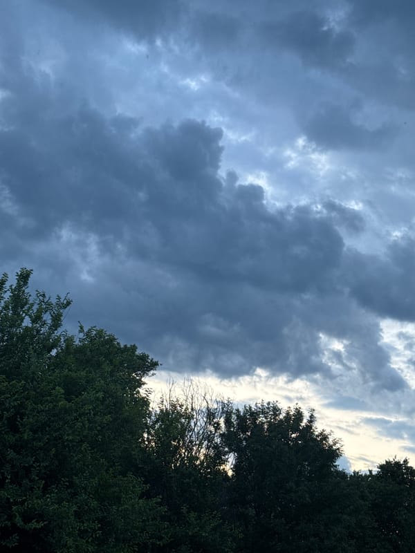 Evening moments captured in Garvanovo: skies, storks, flowers, dogs