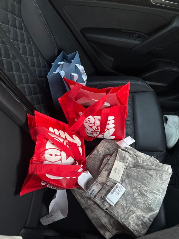 Shopping trip documented in vehicle interior in Mexico