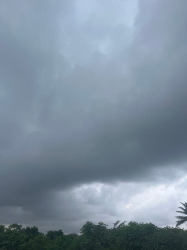 Storm clouds gather over lush green treetops