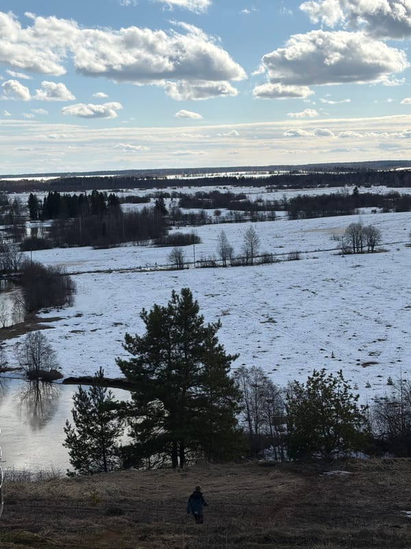 Snowy landscape observed in Sundur, Russia