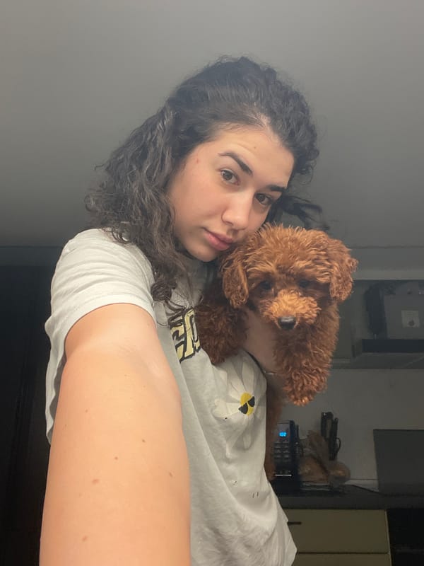 Woman Takes Late Night Selfies With Toy Poodle in Sofia