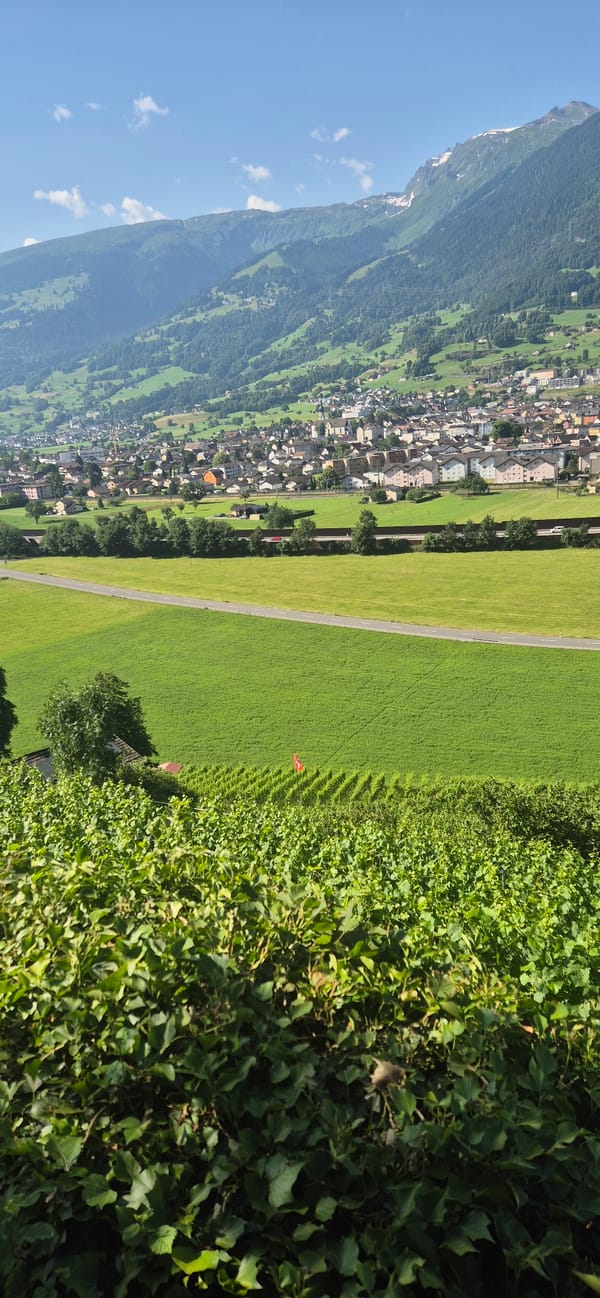 Morning trail walk above Sargans, Swiss Rhine Valley