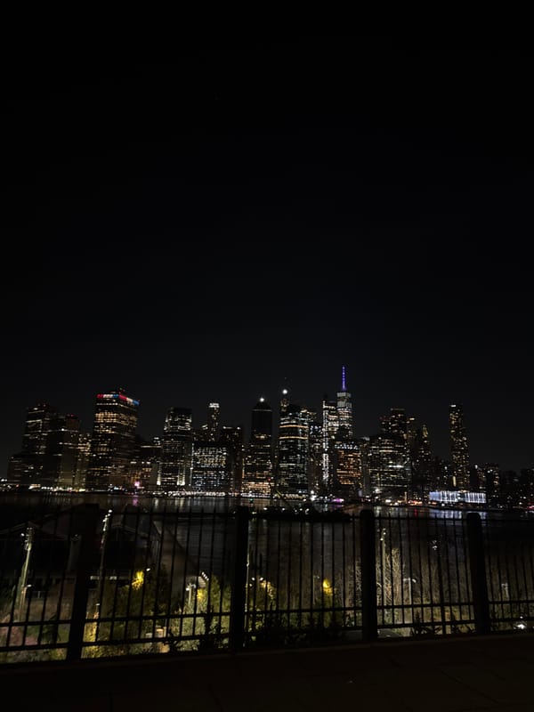 Late night NYC skyline viewing and selfie documentation