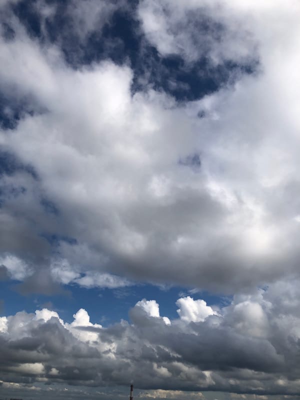 Aerial city views under mixed skies, plus one very unrelated cat