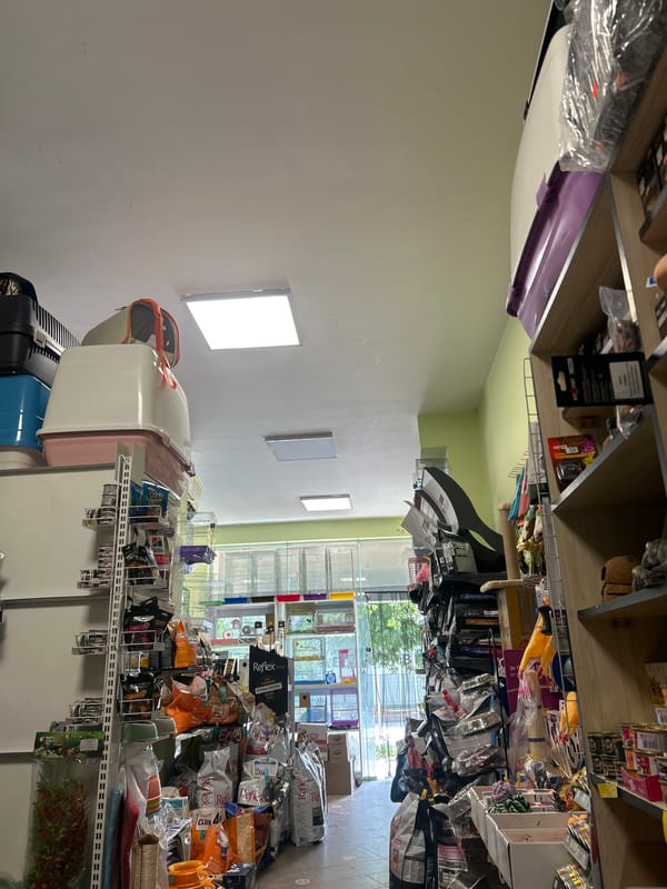 Plovdiv resident documents flooding, shopping, daily life moments