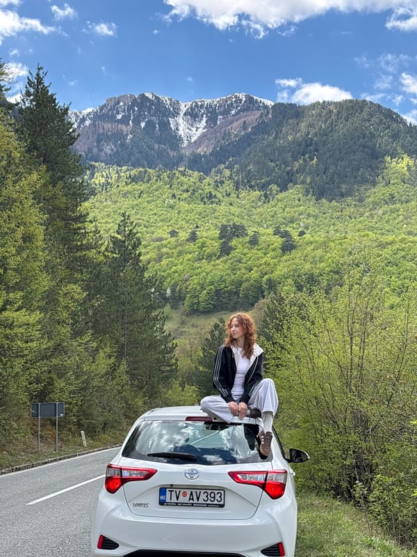Mountain road scenic views documented by witnesses