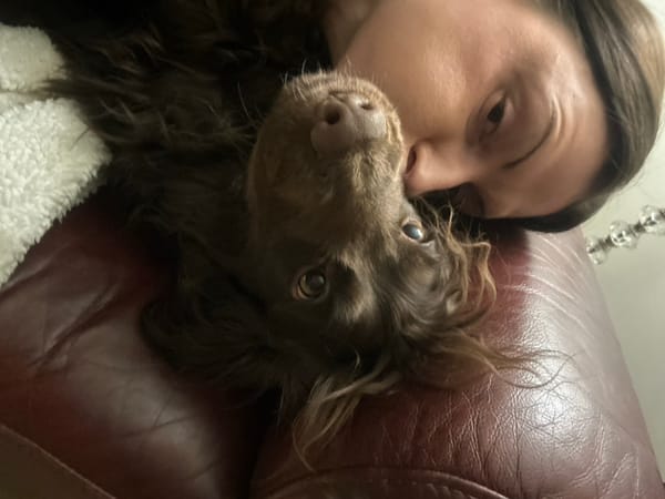 Woman and dog share quiet evening moments in Wealden home