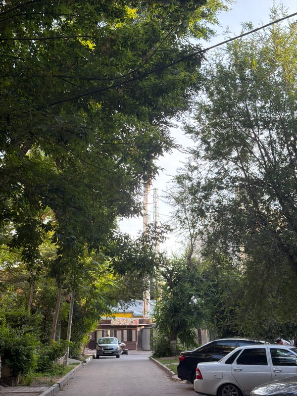 Street-level afternoon in Shymkent, Kazakhstan