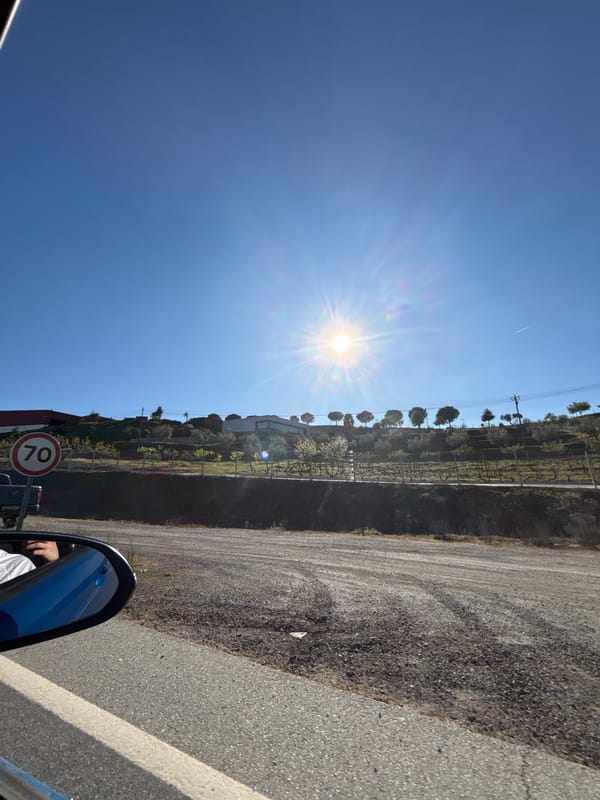 Vehicle passengers document rural roadside scenery in Mirandela, Portugal