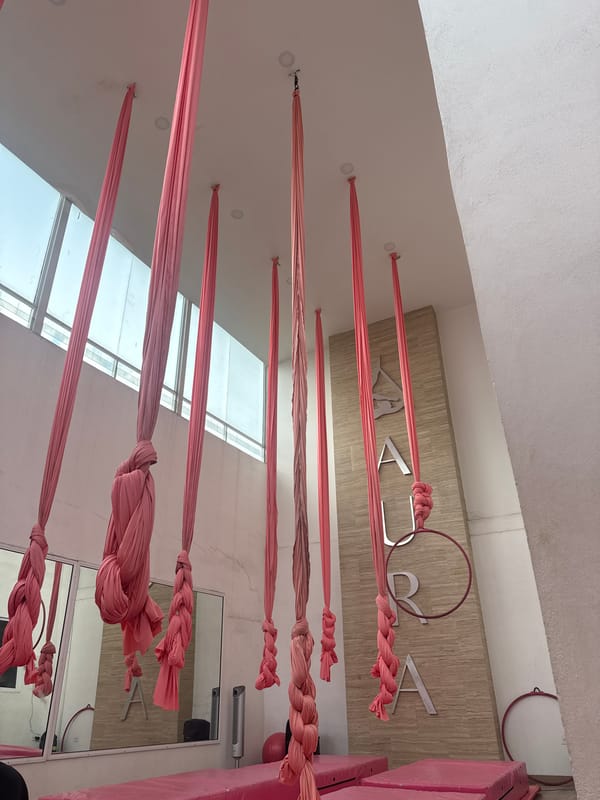 Dog plays in aerial silks studio in San Andrés Cholula