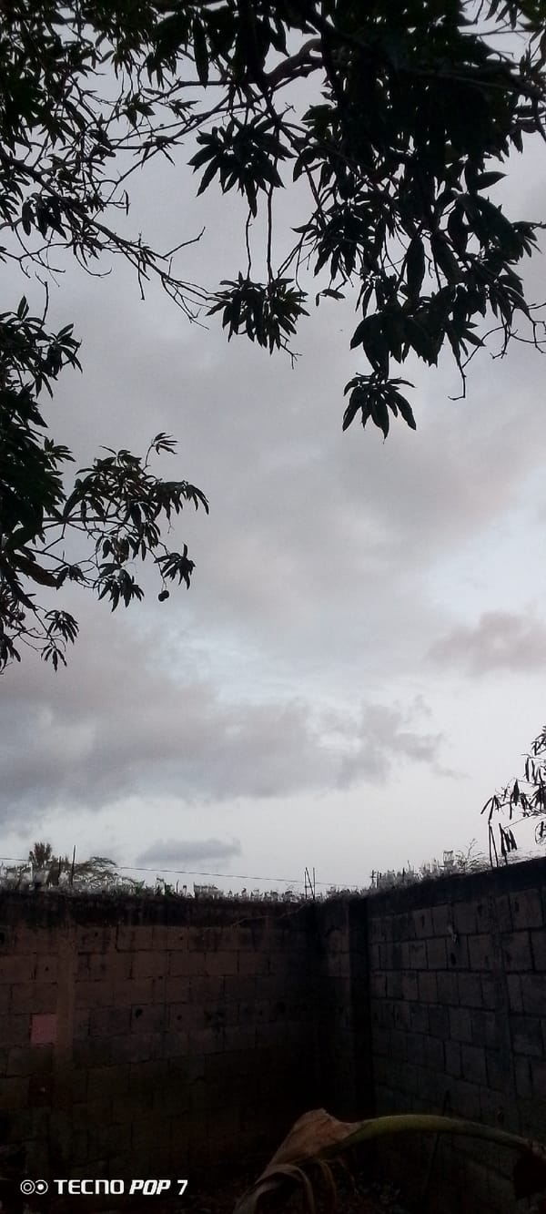 Dusk settles over Altagracia, framed through trees and rooftops