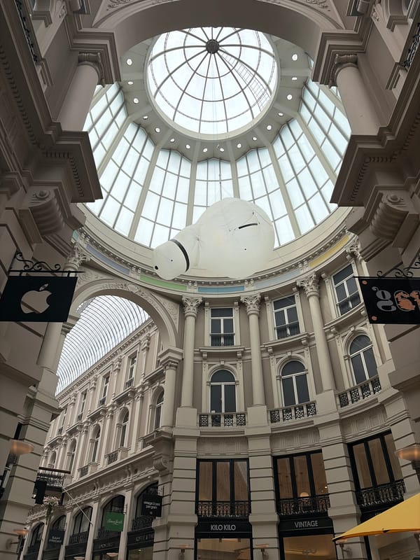 Everyday scenes documented across The Hague's shopping and canal districts