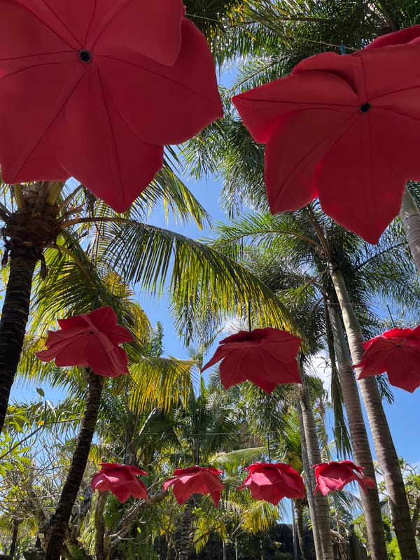 Exploring a floral garden installation in Denpasar, Bali