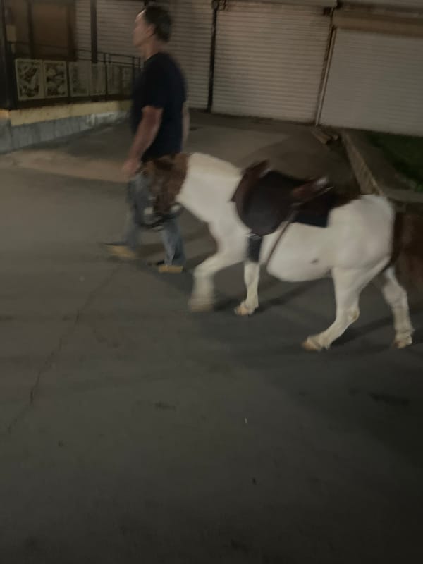 Night out near a lit Eiffel Tower replica with food and horses