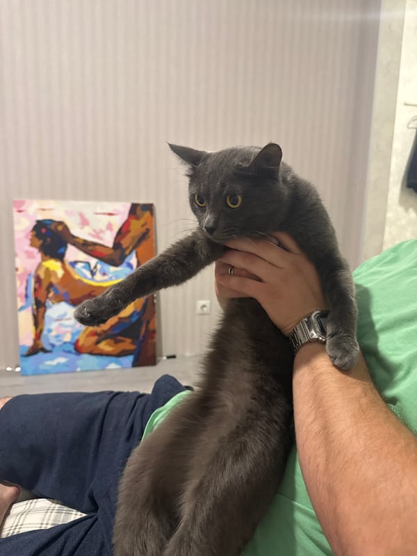Gray cat relaxes near abstract painting in Vysokaya Gora home