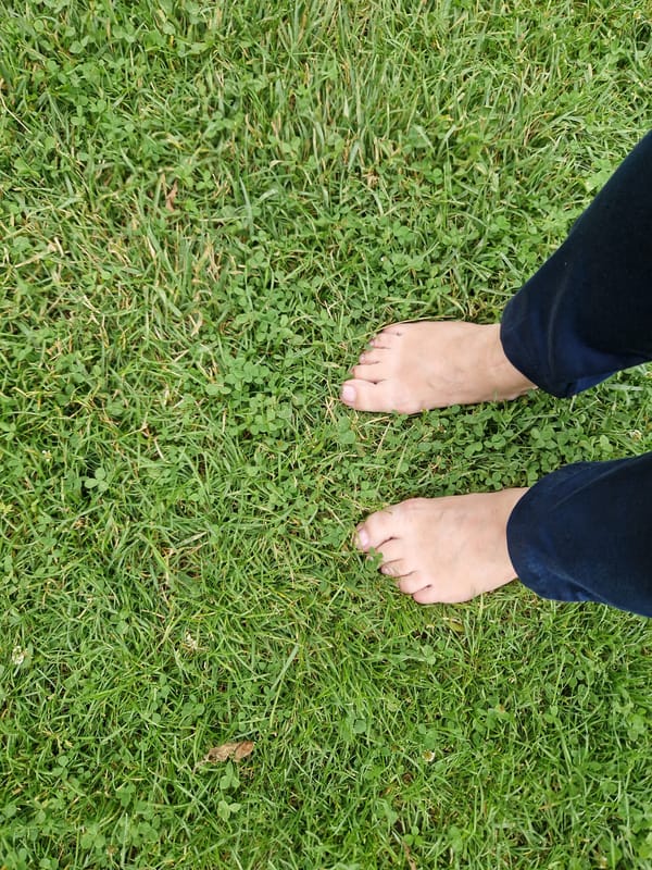 Barefoot in a Sofia garden, exploring flowers and foliage