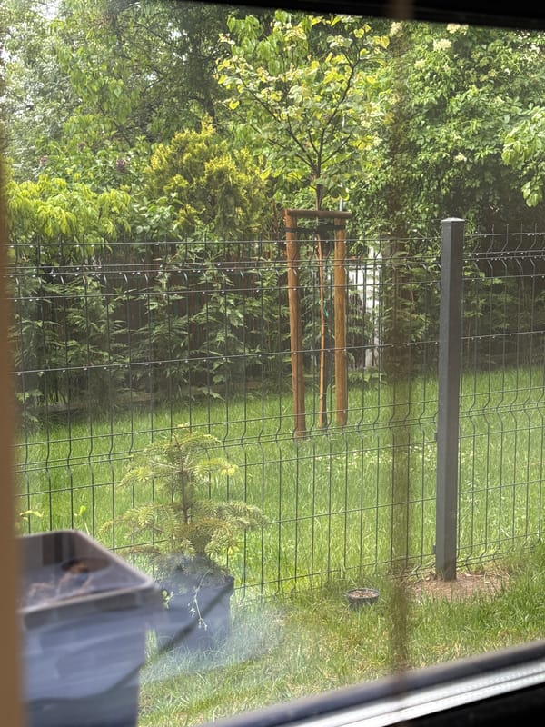 Residential backyard scene documented in Sofia, Bulgaria