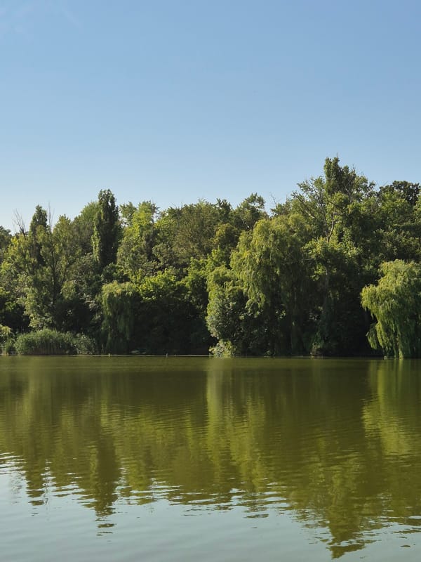 Quiet lakeside village morning in Sozonivka, Ukraine