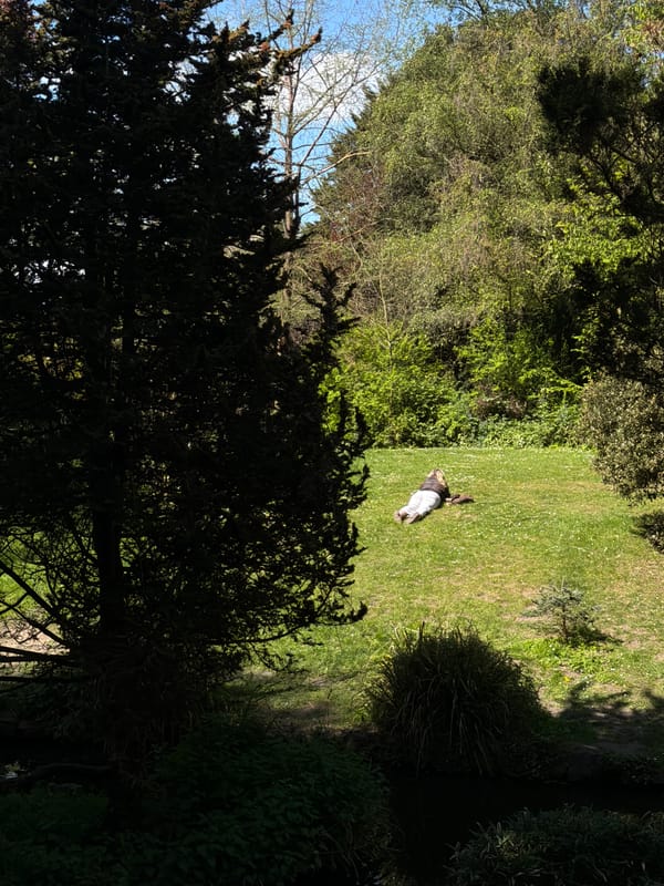 Person enjoys sunny morning rest in London's Peckham Rye Park