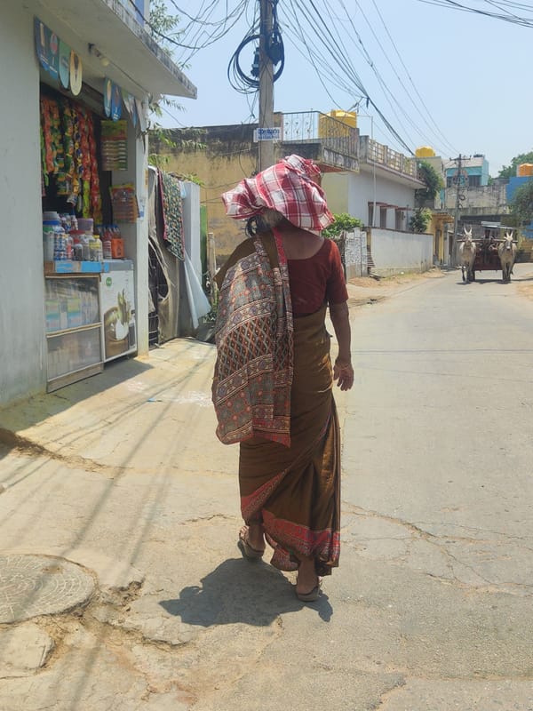 Morning life documented in Pedda Kammavaripalli village, India